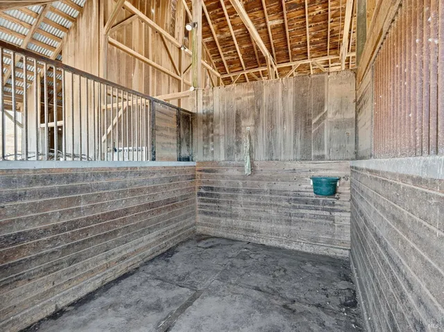 a view of a forest with a tree