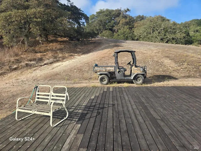 a view of a yard with a tree