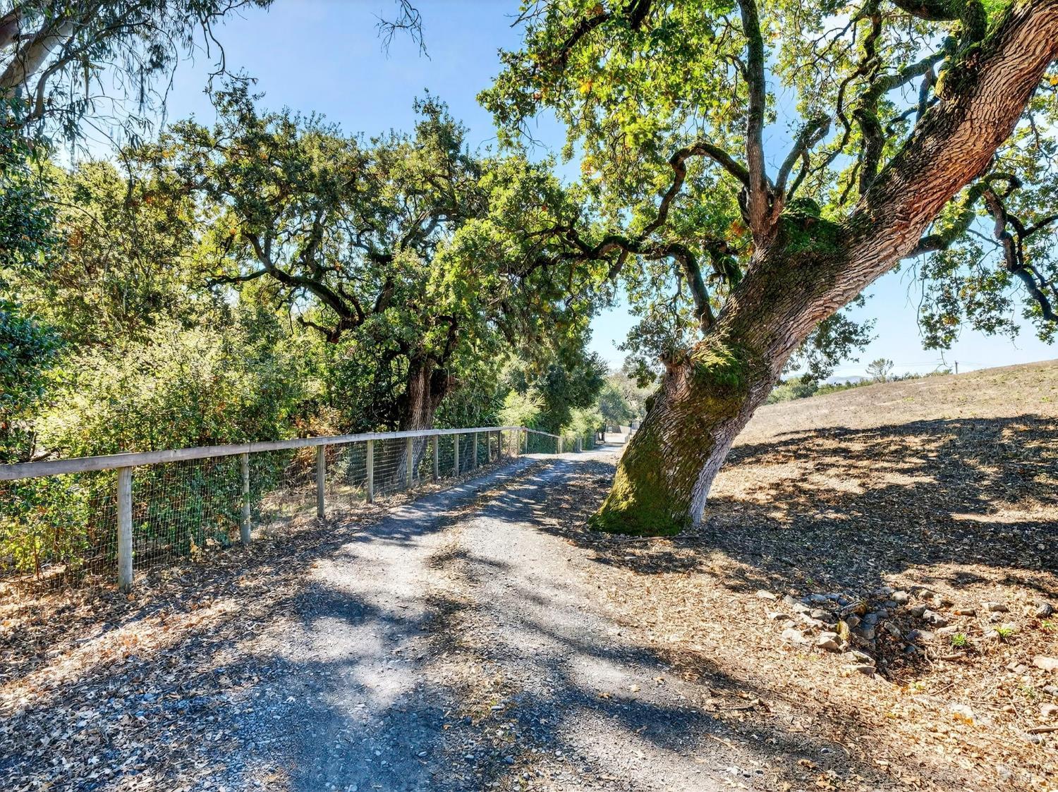 5200 Petaluma Hill Road Santa Rosa, CA 95404 - Photo 45 of 45 a view of a yard with a tree