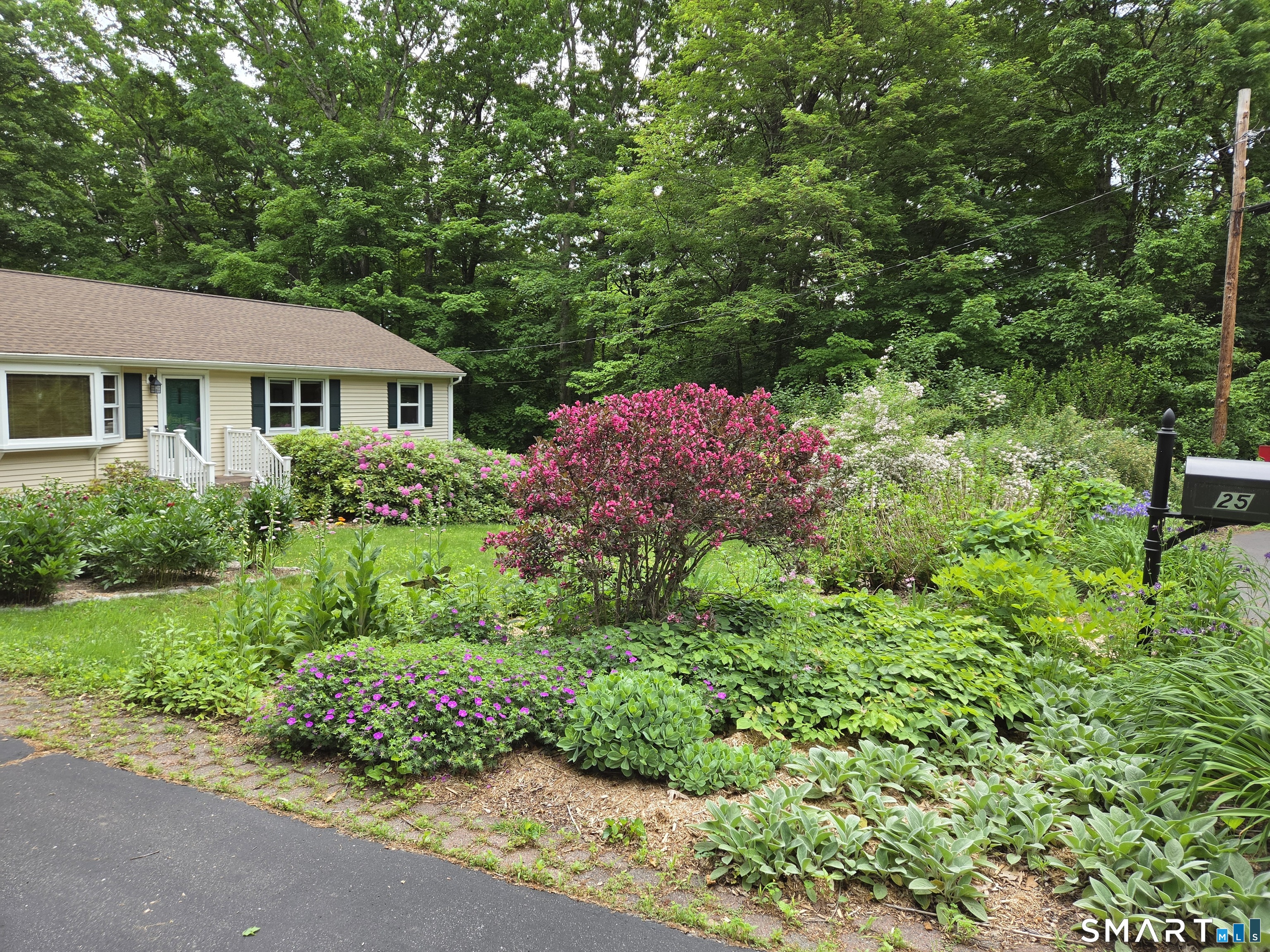 25 Mountain View Road Bethany, CT 06524 - Photo 26 of 27 Wonderfully layed out front yard shrub/tree garden area.