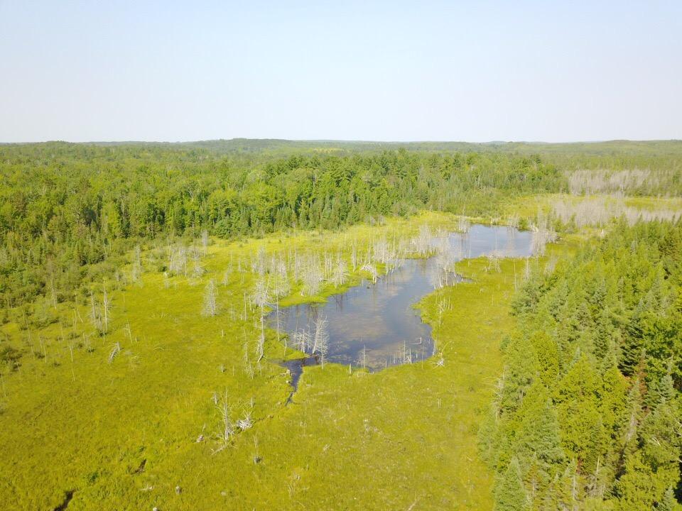 0 Brady Road Onaway, MI 49765 - Photo 18 of 28 Gallery Image 18