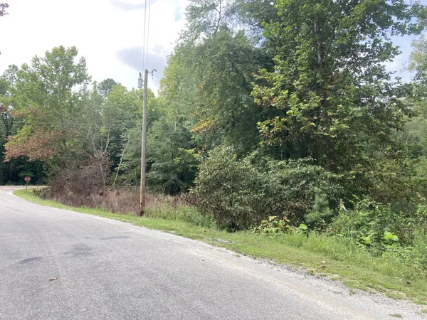 $19,500 | 0 Highway 140 E Buchanan Tn 38222, Buchanan, TN 38222