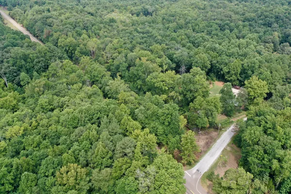 $19,500 | 0 Highway 140 E Buchanan Tn 38222, Buchanan, TN 38222