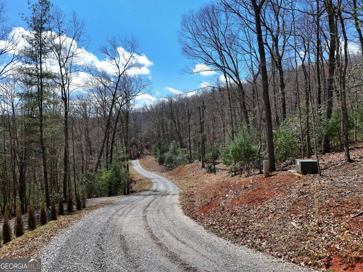 Lot 9 Native Trail Cherry Log, GA 30522 - Photo 2 of 10