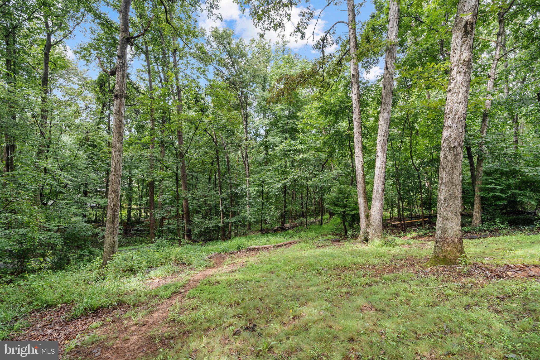 10803 Cross School Road Reston, VA 20191 - Photo 47 of 48