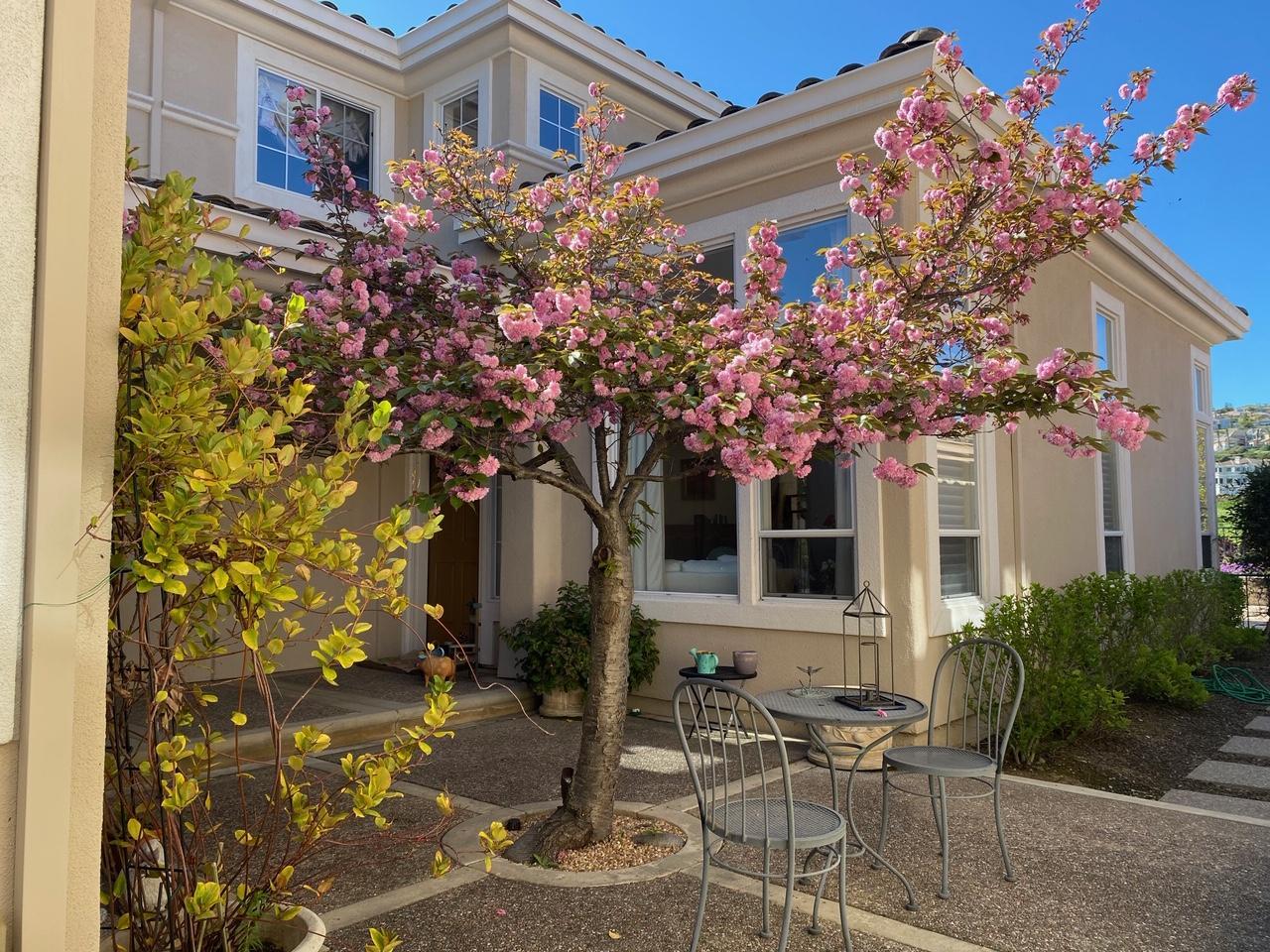 5806 Killarney Circle San Jose, CA 95138 - Photo 29 of 37 a front view of a house with garden