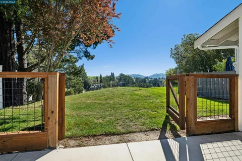 a view of a backyard with a garden and plants