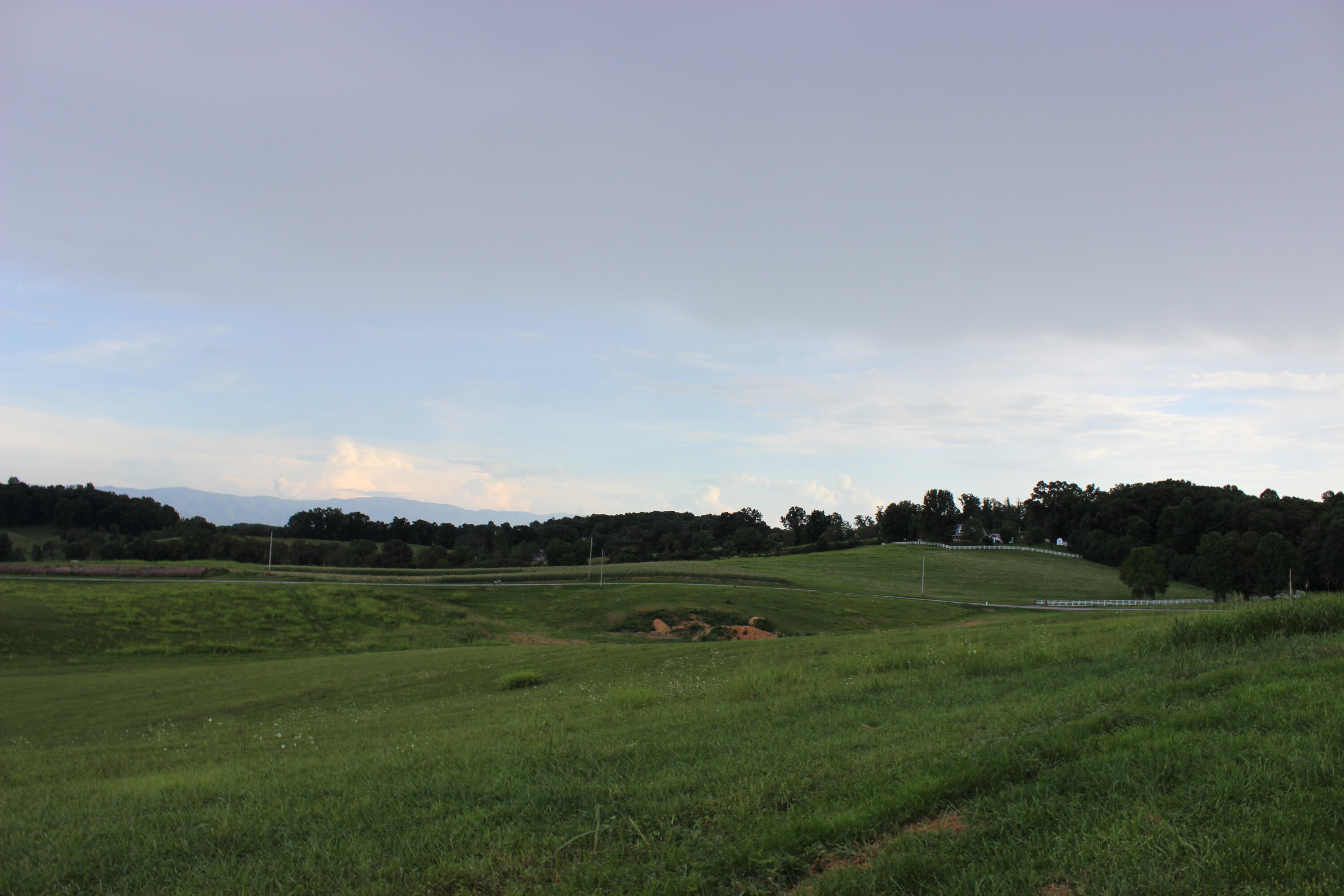 Lot 4 Ducktown Road, Unit 4 Limestone, TN 37681 - Photo 4 of 22 IMG_8580