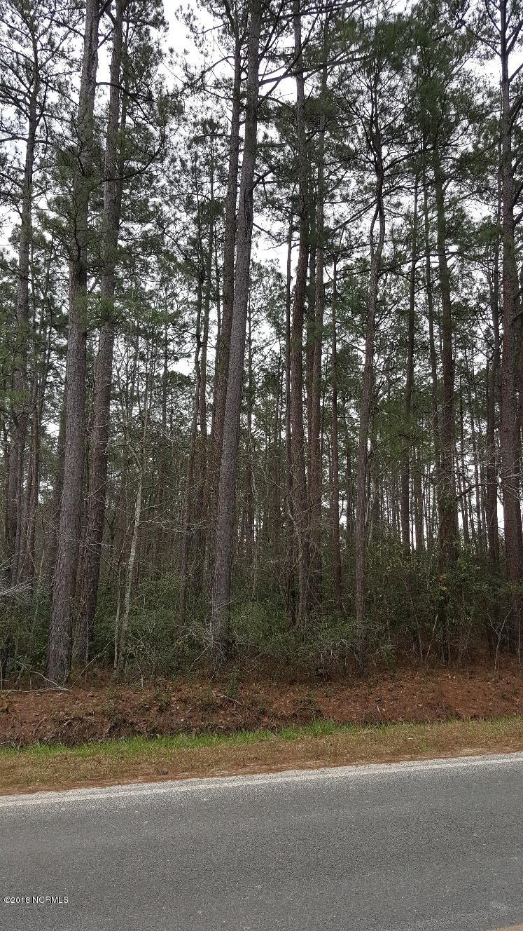 Tr-3 Swain Road Southeast Winnabow, NC 28479 - Photo 3 of 3 Danford2