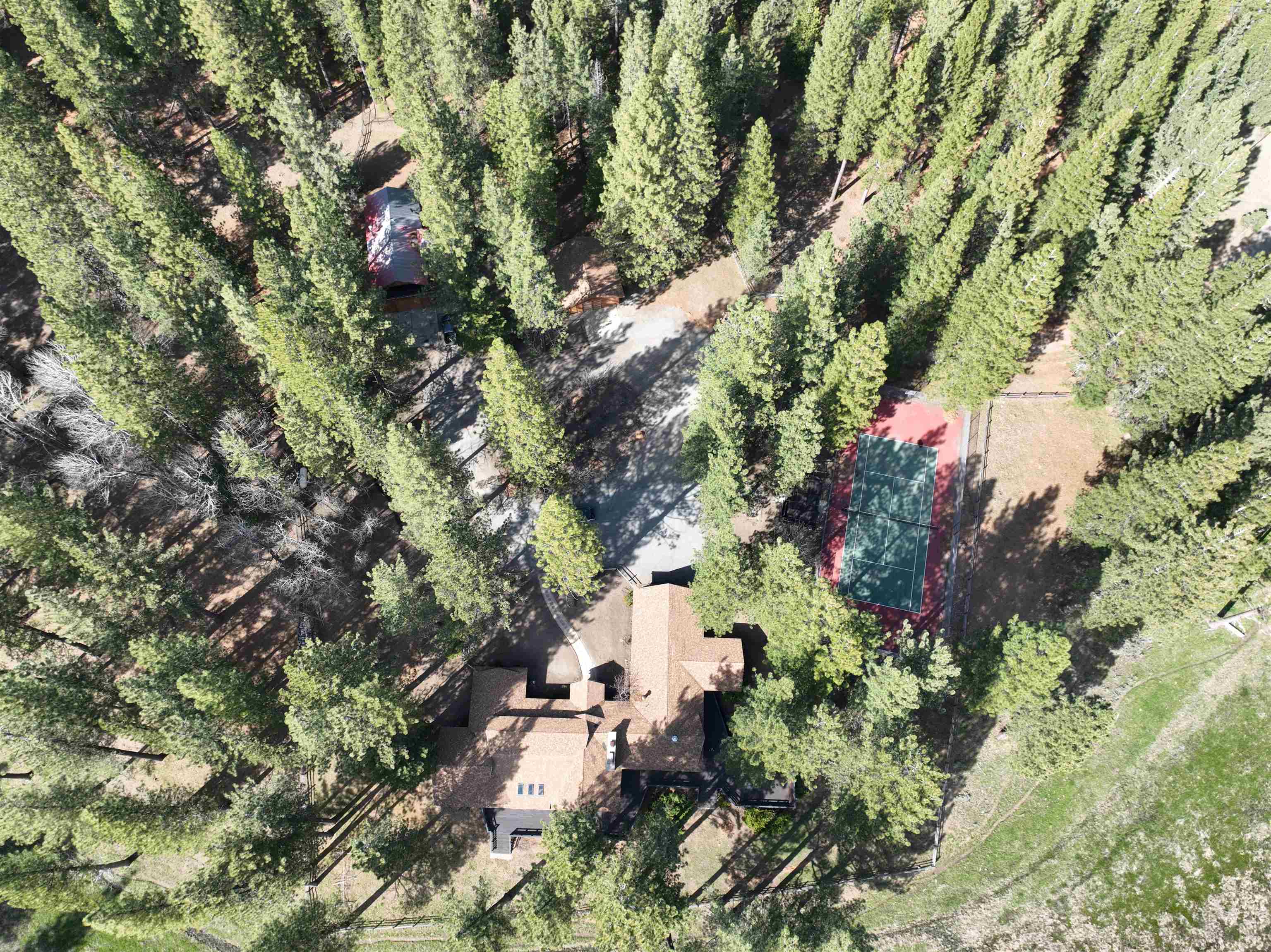 300 Meadow Ranch Road Calpine, CA 96124 - Photo 12 of 21 a picture of trees