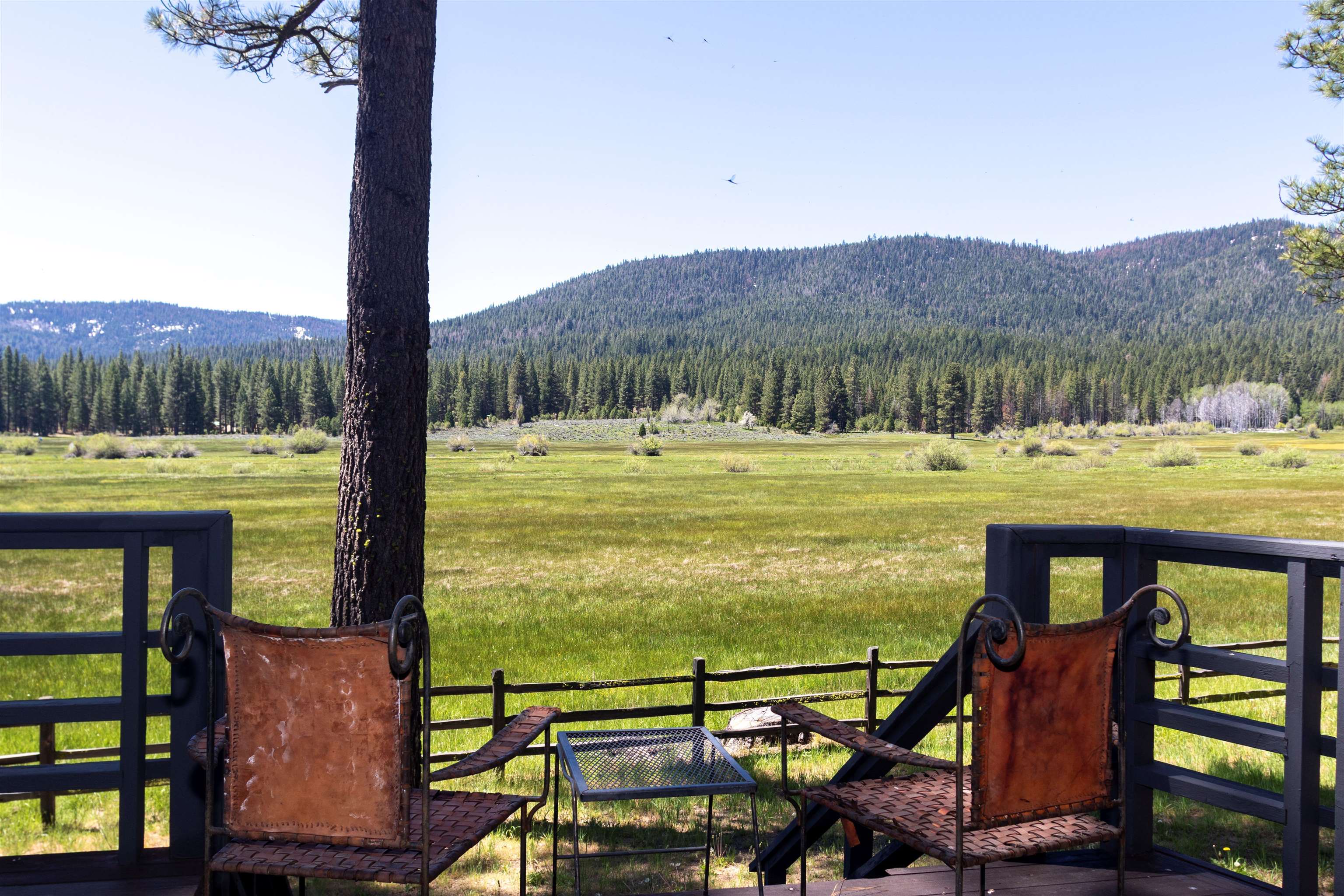 300 Meadow Ranch Road Calpine, CA 96124 - Photo 4 of 21 a view of a outdoor space with mountain view