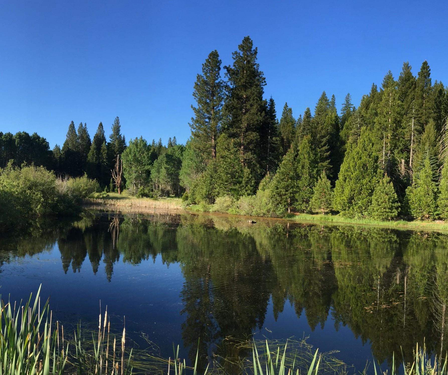 300 Meadow Ranch Road Calpine, CA 96124 - Photo 7 of 21 a view of lake
