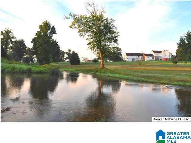 1568 Curry Station Road Munford, AL 36268 - Photo 3 of 32