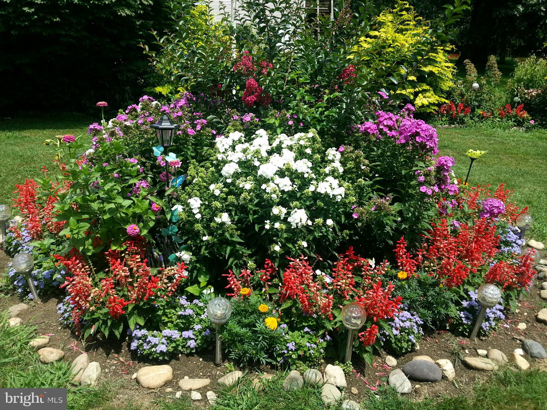 588 Clayton Road Williamstown, NJ 08094 - Photo 22 of 37 Lush Gardens