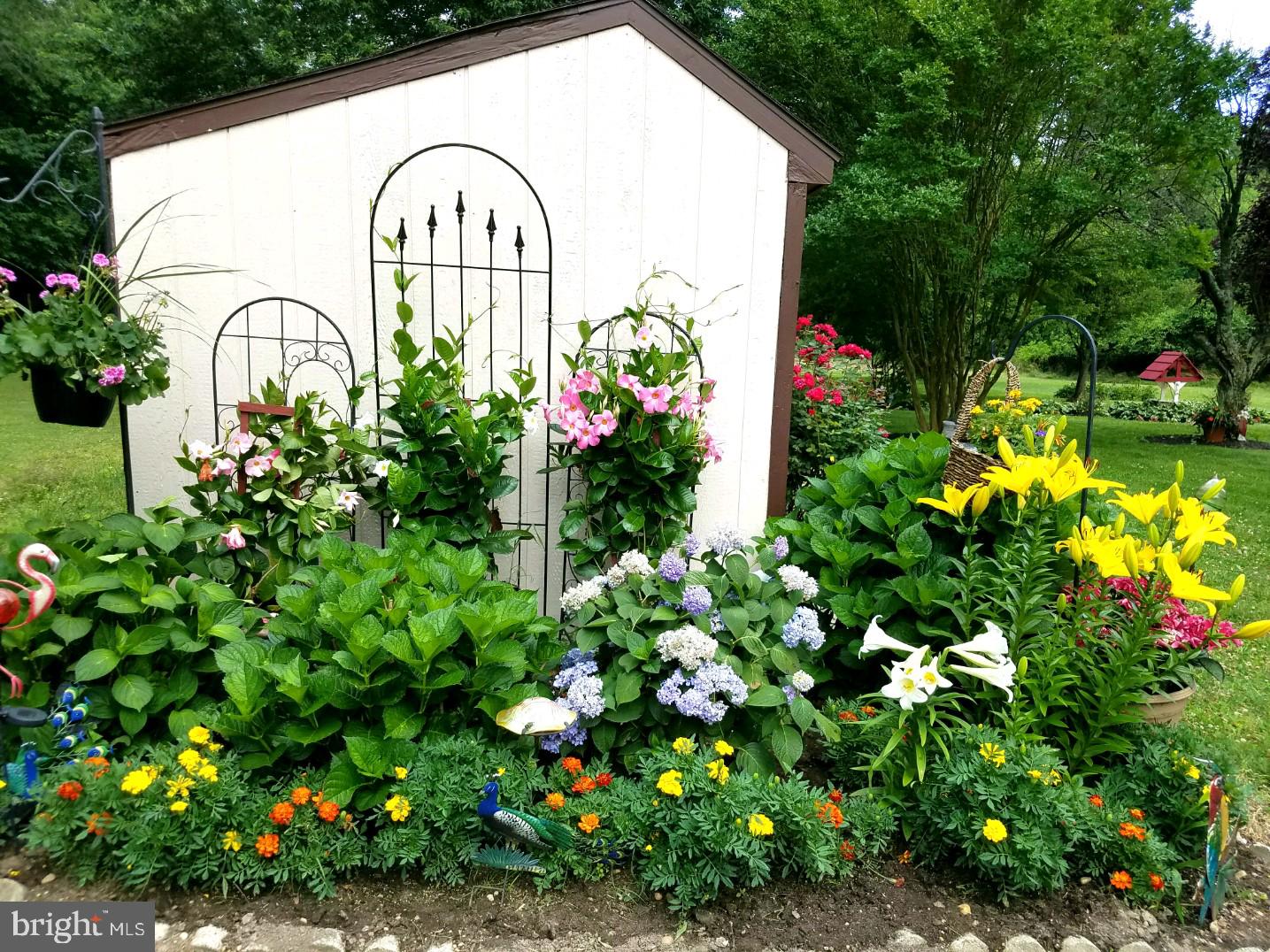 588 Clayton Road Williamstown, NJ 08094 - Photo 36 of 37 Gallery Image 36