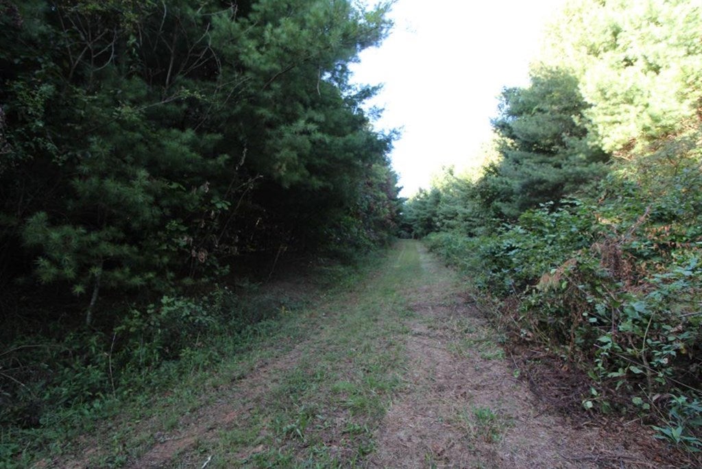 Tbd Joy Ranch Road, Unit 97A77 Woodlawn, VA 24381 - Photo 31 of 43 Gallery Image 31