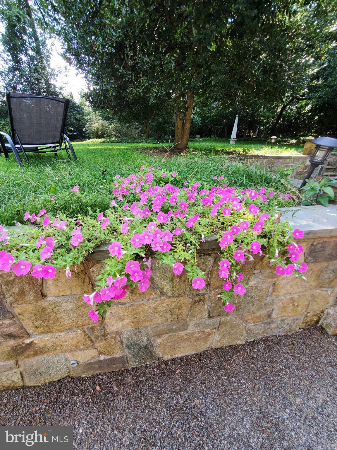 6730 Greentree Road Bethesda, MD 20817 - Photo 48 of 56