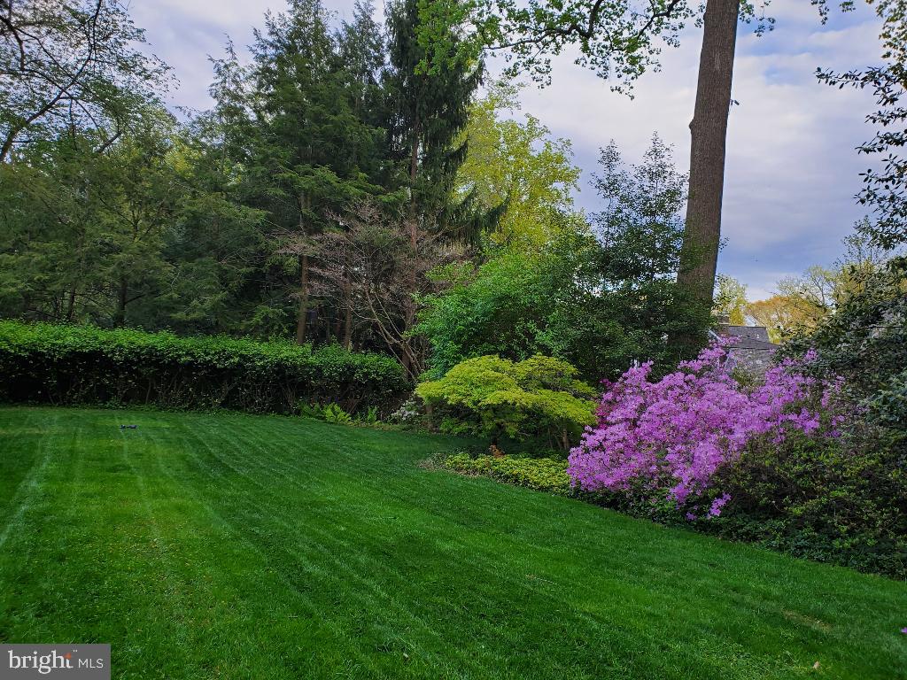 6730 Greentree Road Bethesda, MD 20817 - Photo 51 of 56