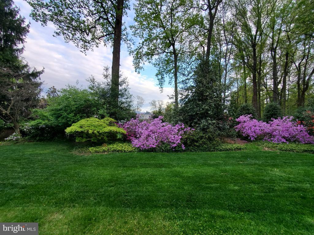 6730 Greentree Road Bethesda, MD 20817 - Photo 55 of 56