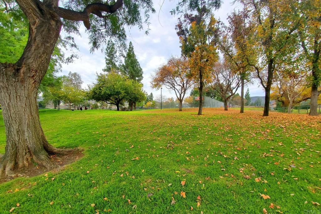 9056 Hightail Drive Santee, CA 92071 - Photo 70 of 73 a view of field with trees