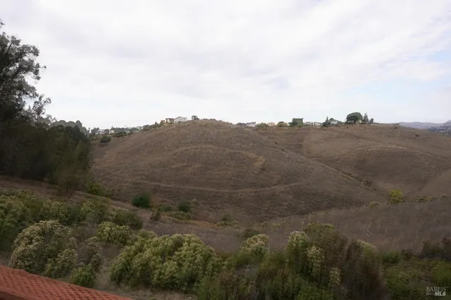 an aerial view of mountain with trees