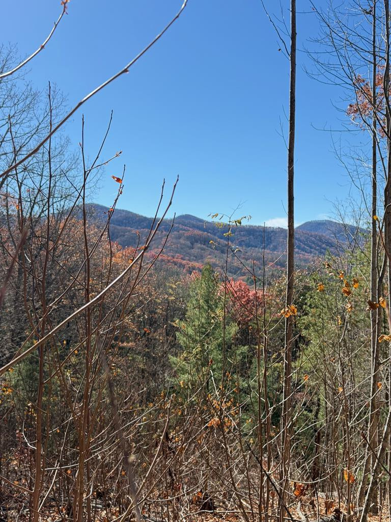 Lot 13 View Ridge Trail Murphy, NC 28906 - Photo 4 of 11