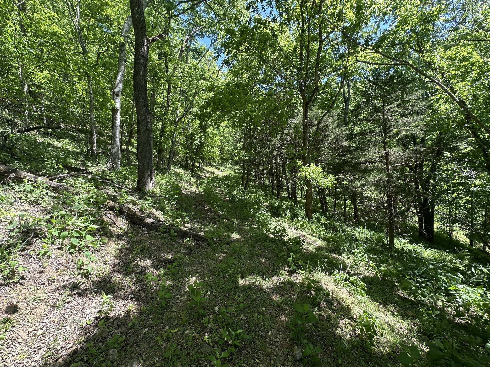 202 Maggart Road Elmwood, TN 38560 - Photo 44 of 59 Gallery Image 44