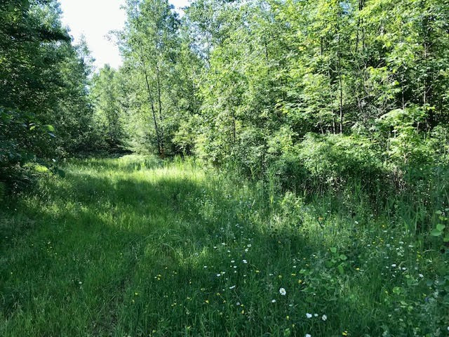 0 Bear Swamp Road Peru, NY 12972 - Photo 9 of 19 Additional View