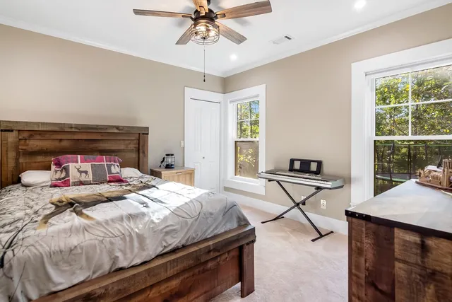 a view of a street sign under a large tree