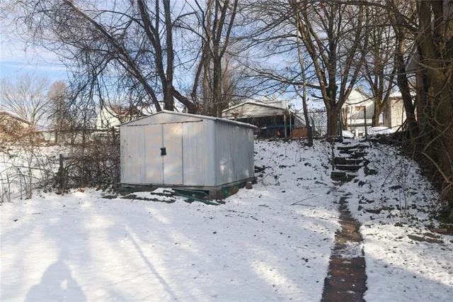 a view of a yard with a large tree