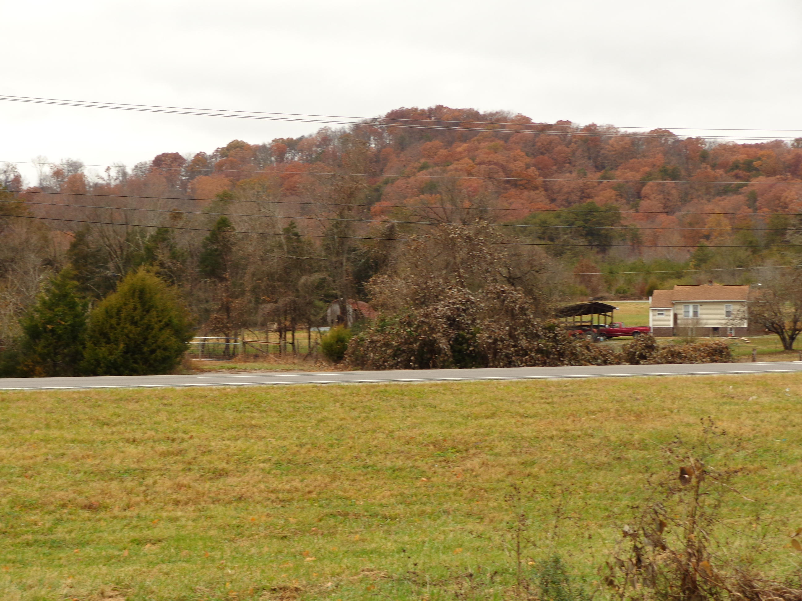9416 Old Rutledge Pike Mascot, TN 37806 - Photo 4 of 21 #559604 old rutledge pike (1)