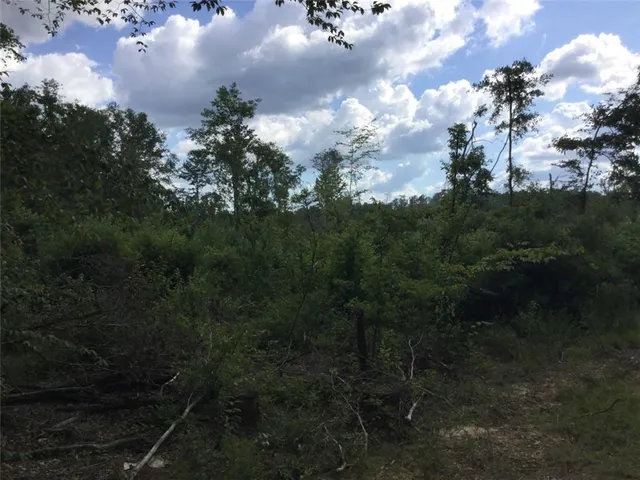 $146,900 | 463 Highway Leesville La, Leesville, LA 71446