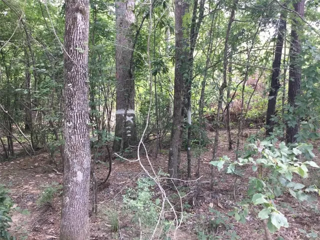 $146,900 | 463 Highway Leesville La, Leesville, LA 71446