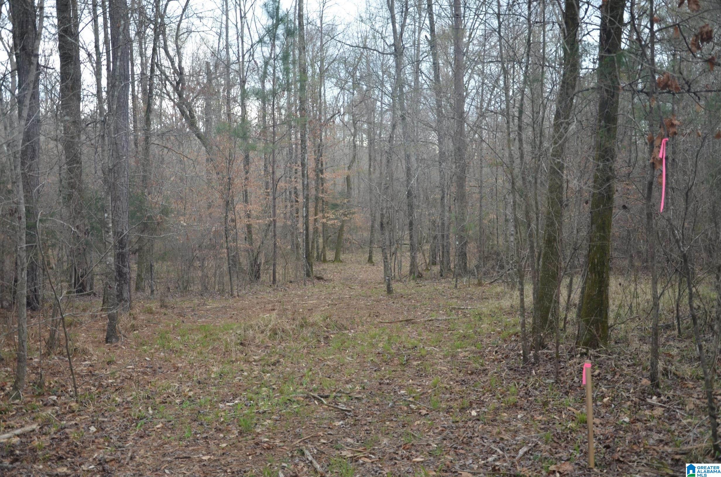 0 Settlers Ridge Alabaster, AL 35007 - Photo 17 of 19
