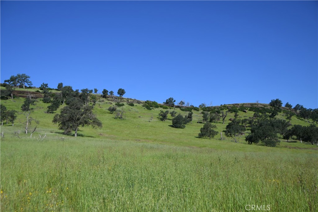 0 Cobble Creek Road Oroville, CA 95965 - Photo 9 of 55 a view of a grassy field with trees