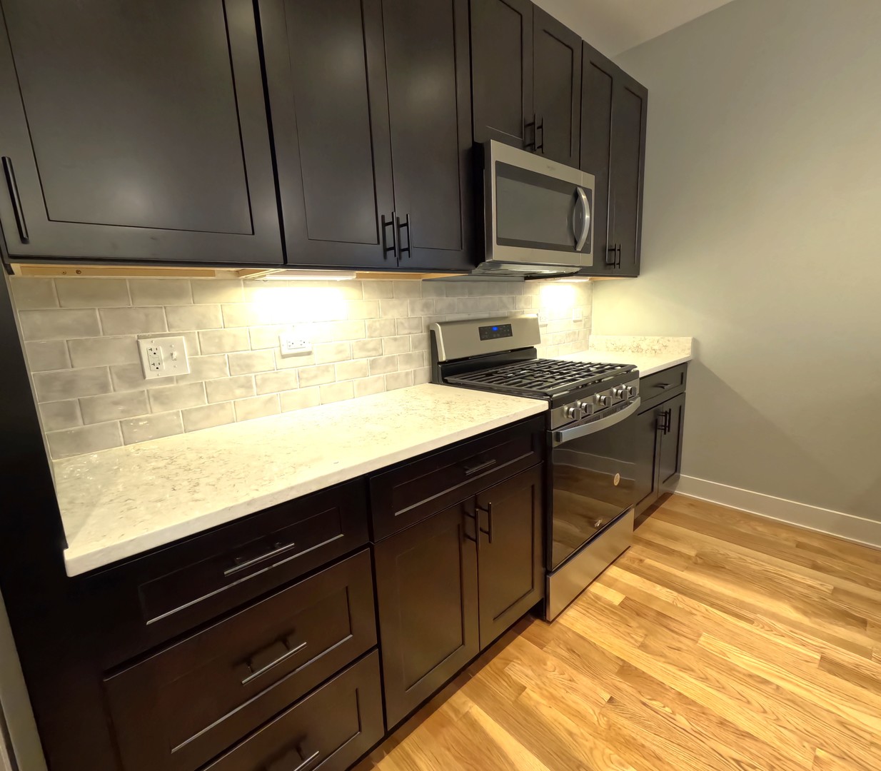 2008 West 21st Street, Unit 4 Chicago, IL 60608 - Photo 18 of 19