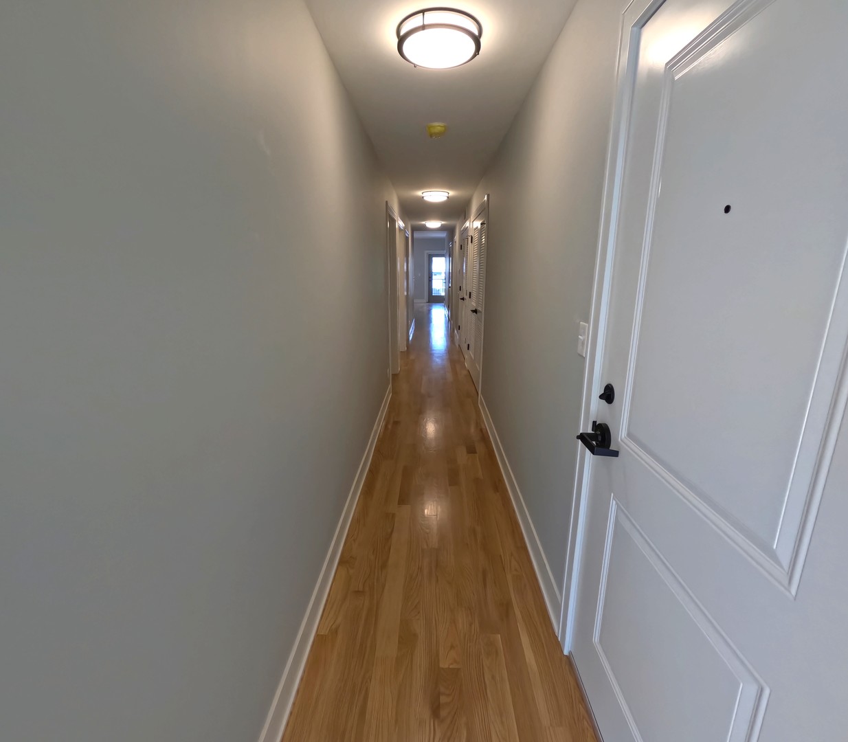 2008 West 21st Street, Unit 4 Chicago, IL 60608 - Photo 6 of 19