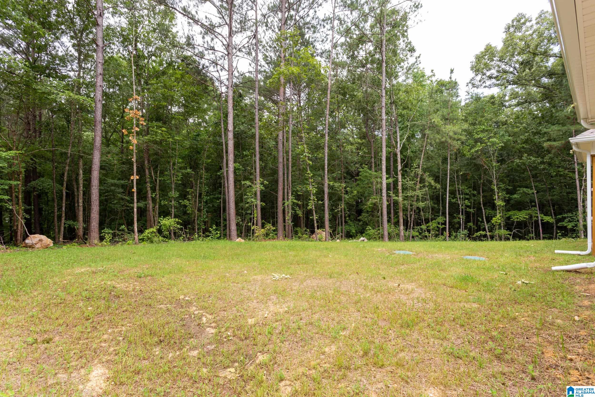 90 Batson Road Odenville, AL 35120 - Photo 35 of 36 Gallery Image 35