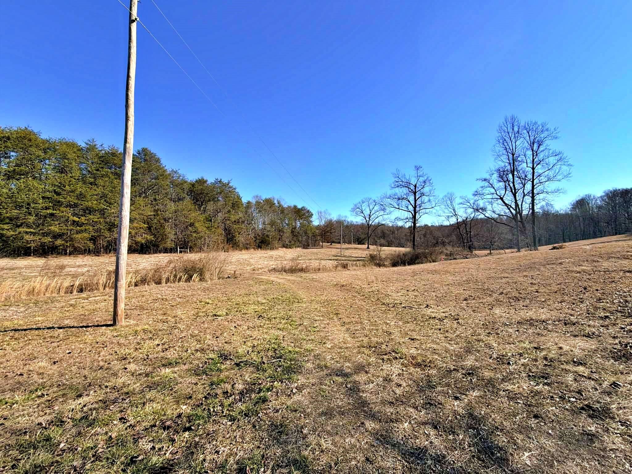 1678 Ward Road Decatur, TN 37322 - Photo 8 of 20 Gallery Image 8