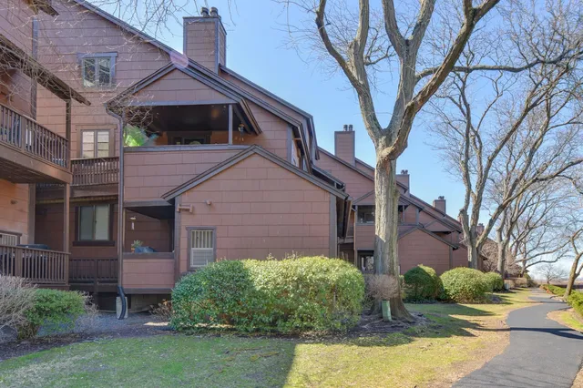 a view of road with large trees
