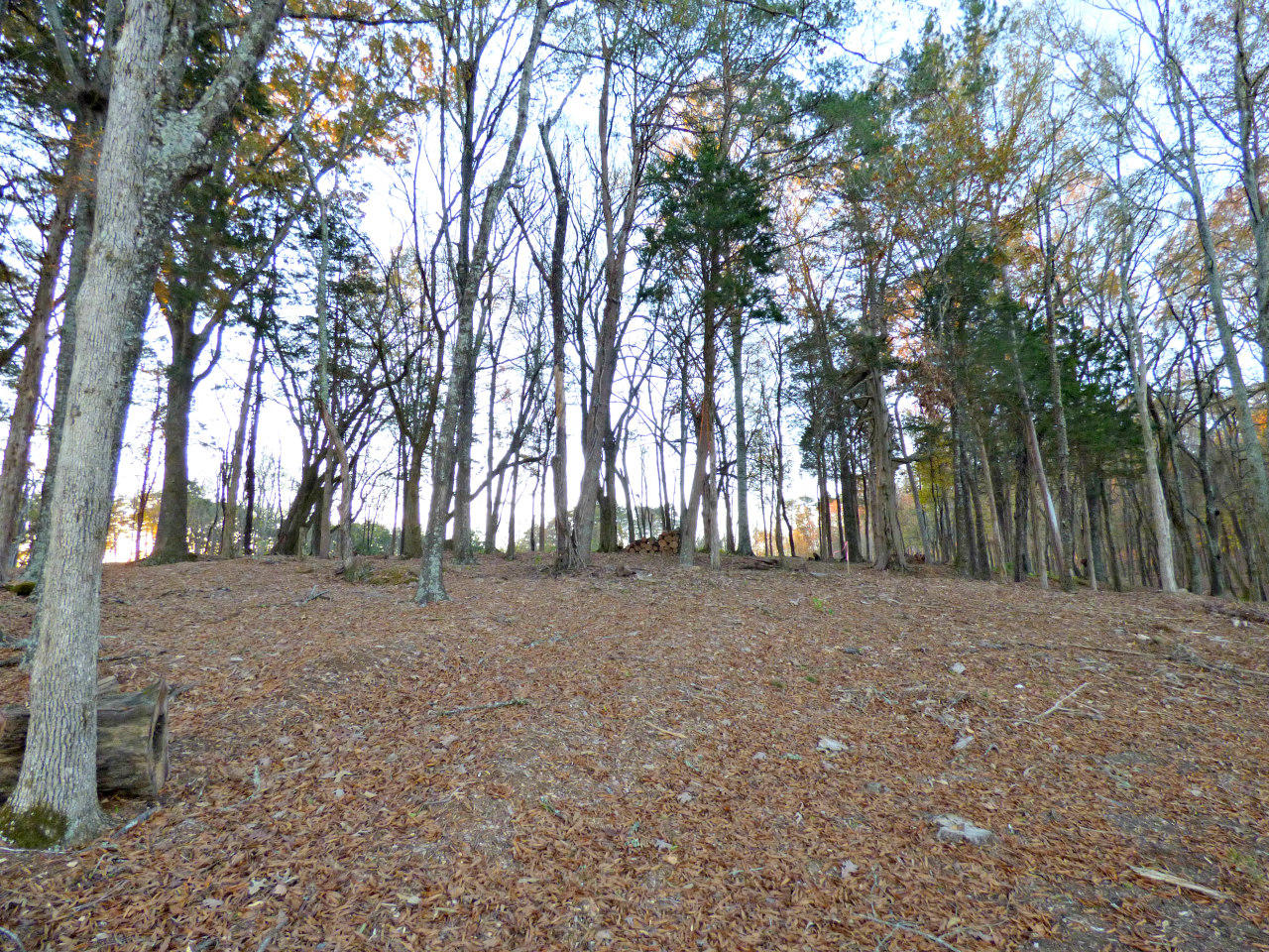 Lot 126 Ridge Point Trail Dandridge, TN 37725 - Photo 14 of 15 P1200831