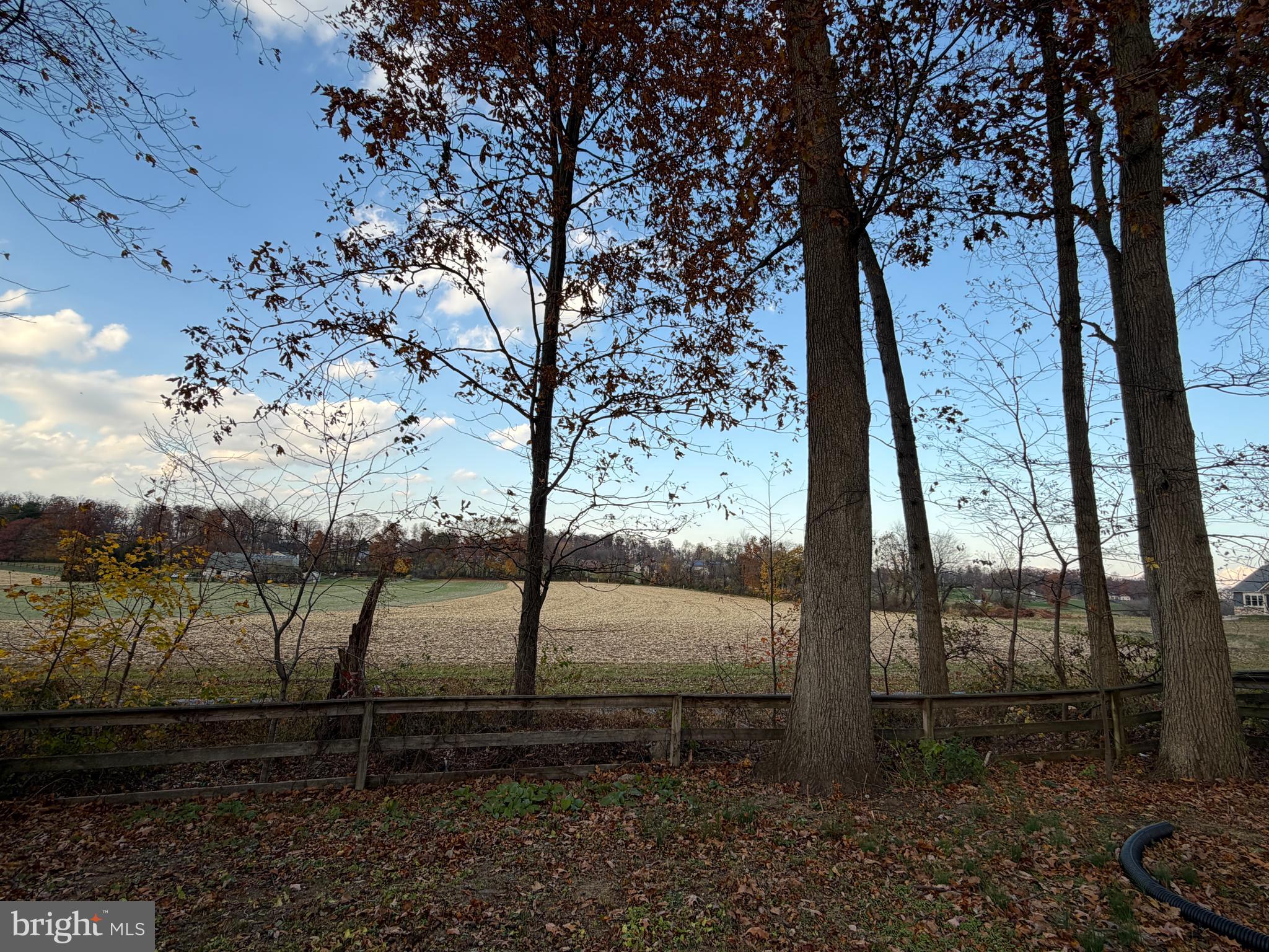 110 Dawn Street Quarryville, PA 17566 - Photo 9 of 29 a view of a backyard with large trees