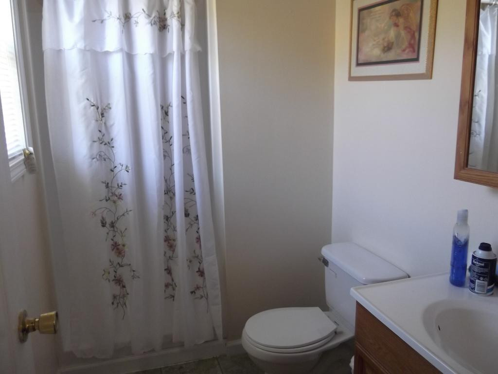 525 Brown Springs Road Mosheim, TN 37818 - Photo 11 of 16 Master Bathroom