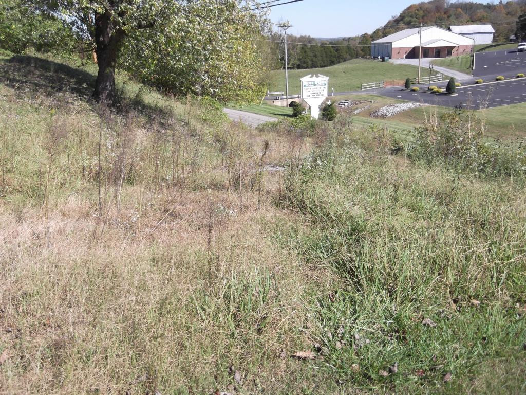 525 Brown Springs Road Mosheim, TN 37818 - Photo 16 of 16 Space to make circle drive