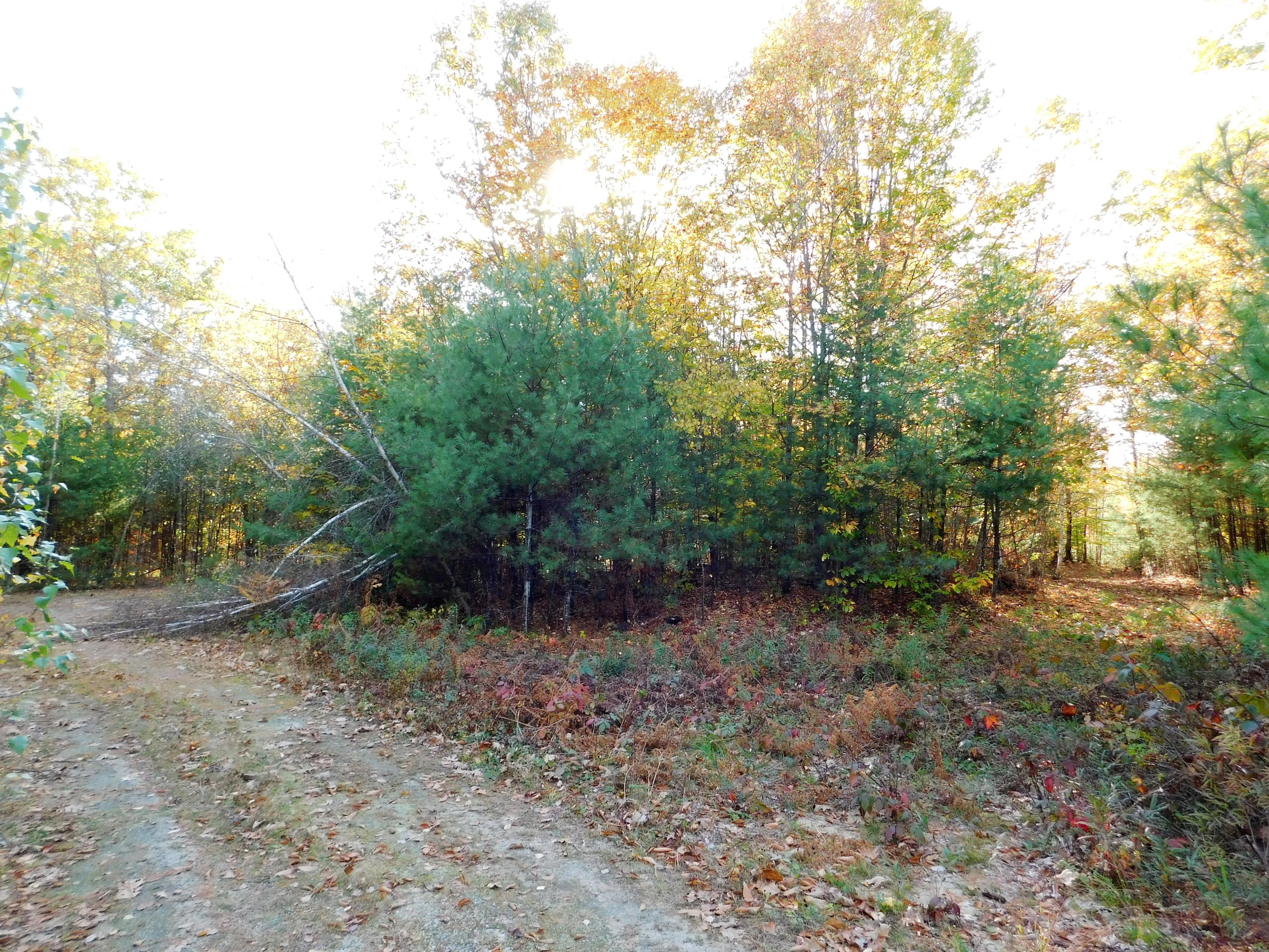 1 Winterbrook Road Mechanic Falls, ME 04256 - Photo 13 of 18 Partial Driveway