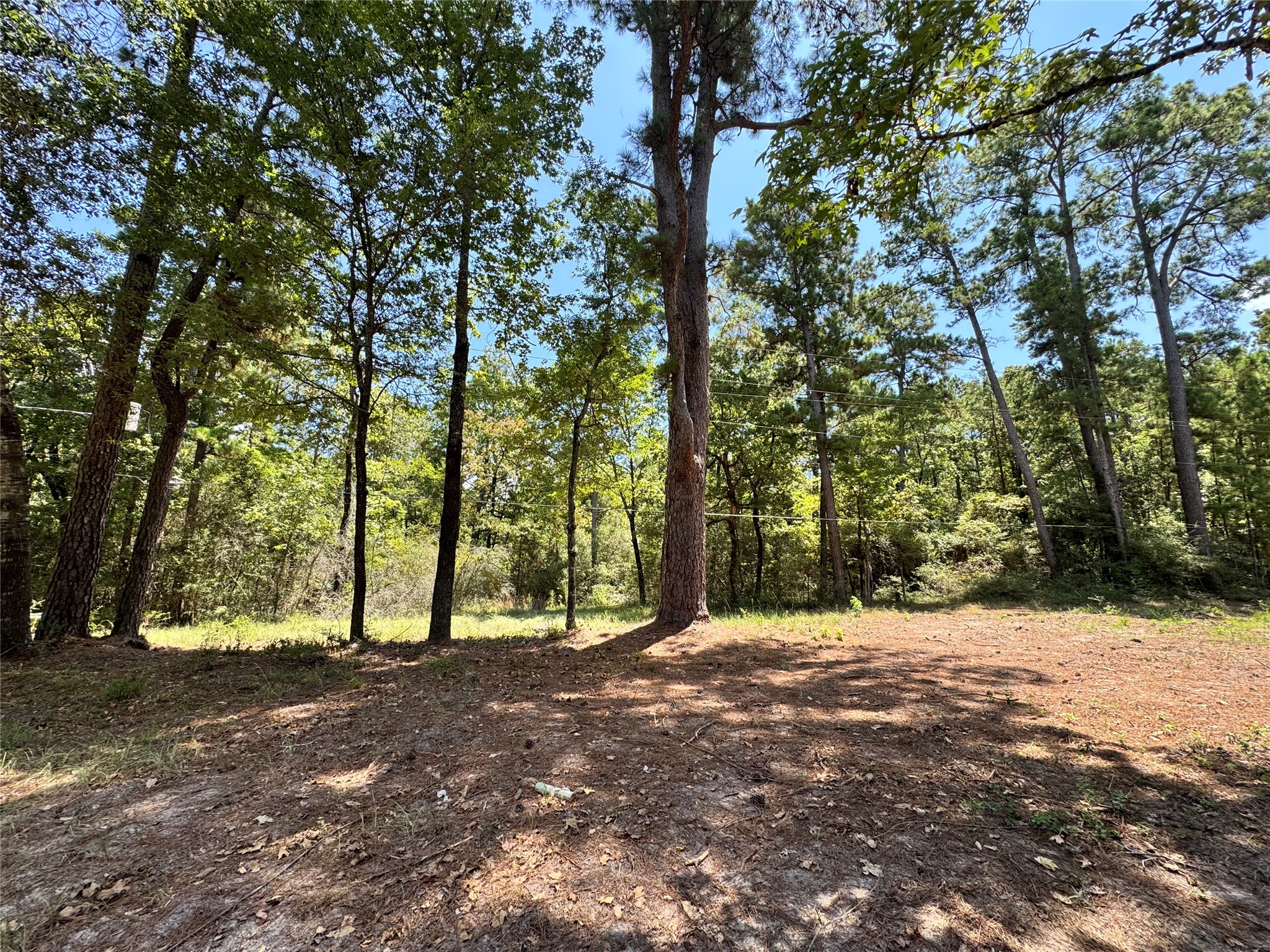 Tbd13 Sparrow Trinity, TX 75862 - Photo 4 of 12 Gallery Image 4