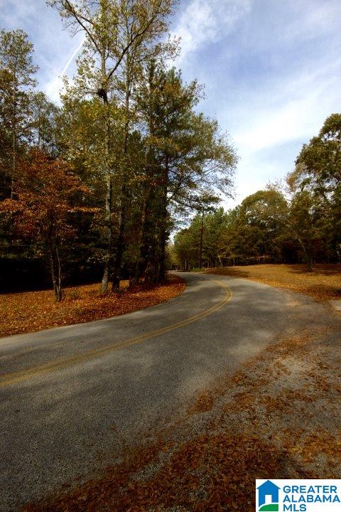 1200 Camp Branch Road Alabaster, AL 35007 - Photo 14 of 50