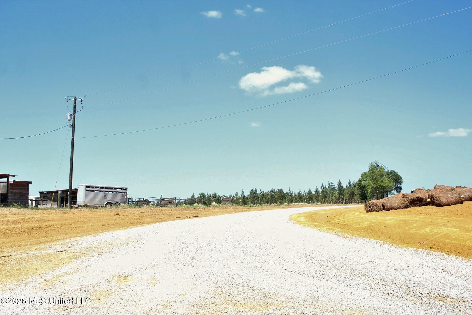 80-ac 80-ac Little Cedar Road Lucedale, MS 39452 - Photo 3 of 7 IMG_3472