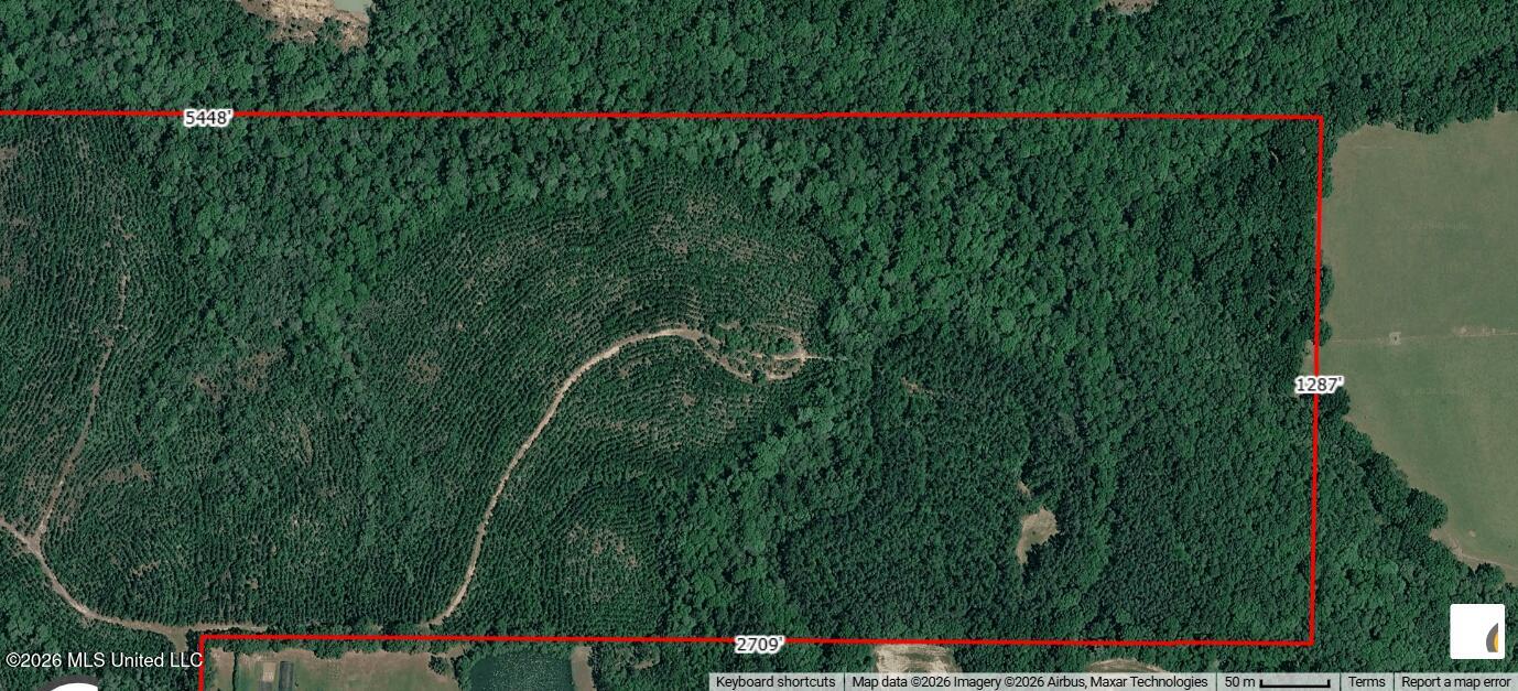 80-ac 80-ac Little Cedar Road Lucedale, MS 39452 - Photo 5 of 7 RealistReport_Results_Map (83)