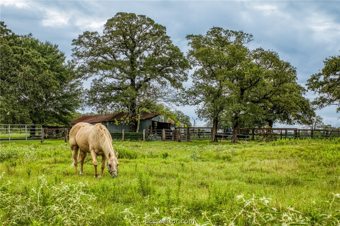 2023 County Road 402 Dime Box, TX 77853 - Photo 1 of 1 a backyard of a house with lots of green space